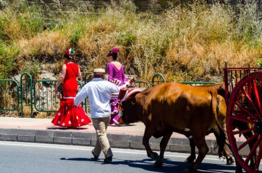 İspanya'da kutsal aktarma Katolik törene katılan Nerja, İspanya - 15 Mayıs, 2018 insan figürü