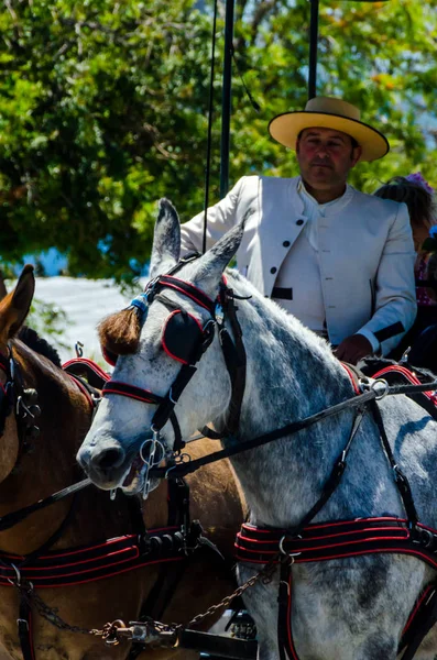 Nerja España Mayo 2018 Personas Que Participan Ceremonia Católica Traslado —  Fotos de Stock