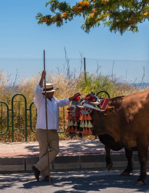 İspanya'da kutsal aktarma Katolik törene katılan Nerja, İspanya - 15 Mayıs, 2018 insan figürü