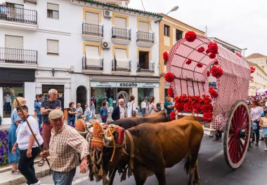 Velez Malaga, İspanya - 19 Mayıs 2018 insanlar kutlamaları nedeniyle İspanya Kutsal şekilde aktarma Katolik törenine katılan