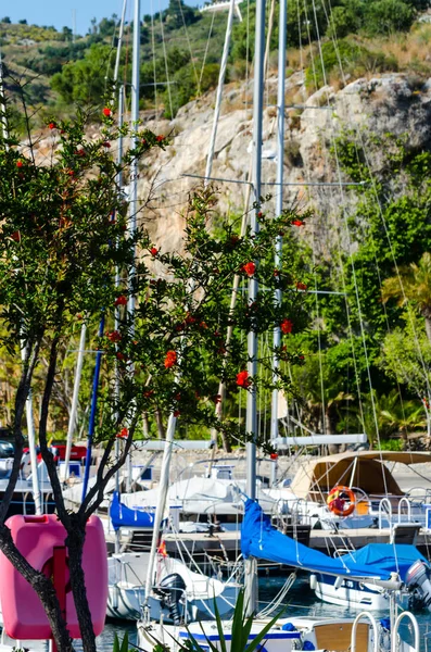 エランドゥーラ スペイン 贅沢なヨットやモーター ボートで観光海辺の町のラ エラドゥーラの美しいマリーナを 2018 — ストック写真