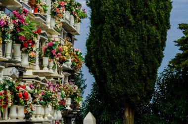 Comares, İspanya - 28 Haziran 2018 duvardaki İspanyol gömüldüğü yer, Endülüs, Hıristiyanlık bölgede tipik mezar karakteristik