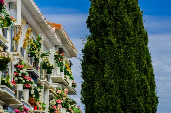 Comares España Junio 2018 Característica Del Cementerio Español Las Murallas — Foto de Stock