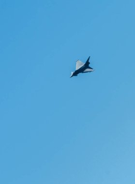 Torre Del Mar, İspanya - 29 Temmuz 2018 uçakları uçan plaj bir sahil kasabasında, Andalusia içinde airshow akrobasi üzerinden