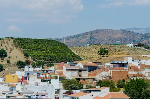 Velez Malaga Spanyolország Augusztus 2018 Tetők Homlokzatok Épületek Spanyol Város — Stock Fotó