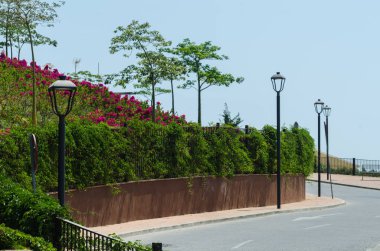 Velez Malaga, İspanya - 24 Ağustos 2018 bitkiler ve ağaçlar bir İspanyol city park, Güney İspanya'nın karakteristik mimarisi