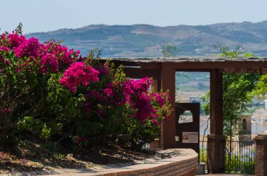 Velez Malaga, İspanya - 24 Ağustos 2018 bitkiler ve ağaçlar bir İspanyol city park, Güney İspanya'nın karakteristik mimarisi