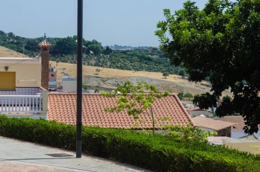 Velez Malaga, İspanya - 24 Ağustos 2018 bitkiler ve ağaçlar bir İspanyol city park, Güney İspanya'nın karakteristik mimarisi