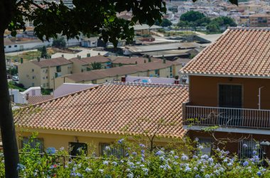 Velez Malaga, İspanya - 24 Ağustos 2018 bitkiler ve ağaçlar bir İspanyol city park, Güney İspanya'nın karakteristik mimarisi