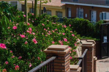 Velez Malaga, İspanya - 24 Ağustos 2018 bitkiler ve ağaçlar bir İspanyol city park, Güney İspanya'nın karakteristik mimarisi