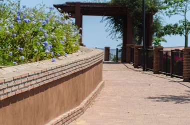 Velez Malaga, İspanya - 24 Ağustos 2018 bitkiler ve ağaçlar bir İspanyol city park, Güney İspanya'nın karakteristik mimarisi