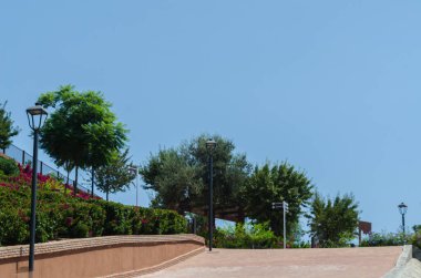 Velez Malaga, İspanya - 24 Ağustos 2018 bitkiler ve ağaçlar bir İspanyol city park, Güney İspanya'nın karakteristik mimarisi