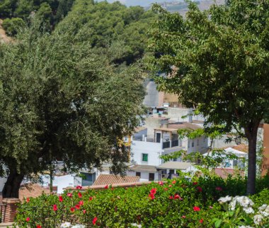 Velez Malaga, İspanya - 24 Ağustos 2018 bitkiler ve ağaçlar bir İspanyol city park, Güney İspanya'nın karakteristik mimarisi