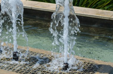 Velez Malaga, İspanya - 24 Ağustos 2018 bitkiler ve ağaçlar bir İspanyol city park, Güney İspanya'nın karakteristik mimarisi