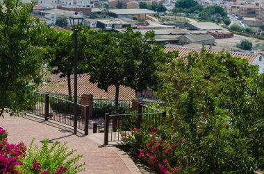 Velez Malaga, İspanya - 24 Ağustos 2018 bitkiler ve ağaçlar bir İspanyol city park, Güney İspanya'nın karakteristik mimarisi