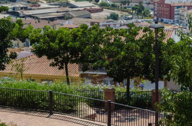 Velez Malaga, İspanya - 24 Ağustos 2018 bitkiler ve ağaçlar bir İspanyol city park, Güney İspanya'nın karakteristik mimarisi