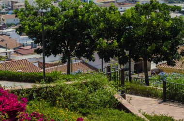 Velez Malaga, İspanya - 24 Ağustos 2018 bitkiler ve ağaçlar bir İspanyol city park, Güney İspanya'nın karakteristik mimarisi