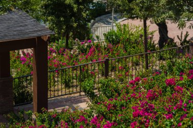 Velez Malaga, İspanya - 24 Ağustos 2018 bitkiler ve ağaçlar bir İspanyol city park, Güney İspanya'nın karakteristik mimarisi