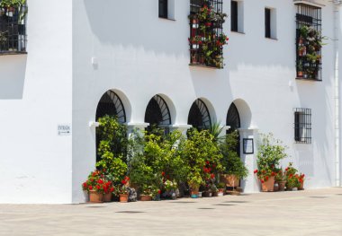 Velez Malaga, İspanya - 24 Ağustos 2018 bitkiler ve ağaçlar bir İspanyol city park, Güney İspanya'nın karakteristik mimarisi