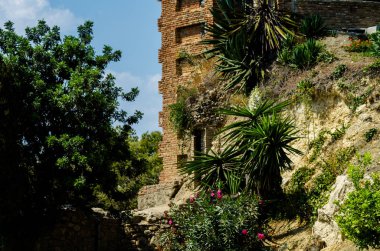 Velez Malaga, İspanya - 24 Ağustos 2018 bitkiler ve ağaçlar bir İspanyol city park, Güney İspanya'nın karakteristik mimarisi