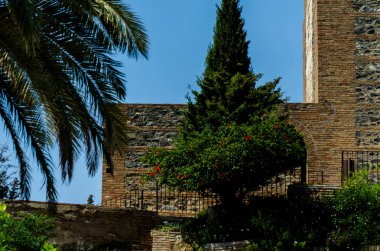 Velez Malaga, İspanya - 24 Ağustos 2018 bitkiler ve ağaçlar bir İspanyol city park, Güney İspanya'nın karakteristik mimarisi