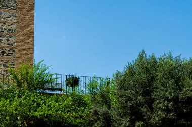 Velez Malaga, İspanya - 24 Ağustos 2018 bitkiler ve ağaçlar bir İspanyol city park, Güney İspanya'nın karakteristik mimarisi