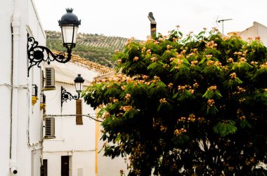 Baena, İspanya - 12 Eylül 2018 boş İspanyol sokaklarda Cordoba, eski Endülüs karakteristik mimarisi yanında küçük bir kasabasında