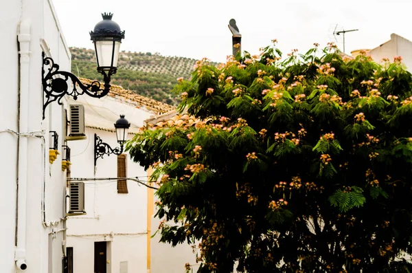 Baena, İspanya - 12 Eylül 2018 boş İspanyol sokaklarda Cordoba, eski Endülüs karakteristik mimarisi yanında küçük bir kasabasında