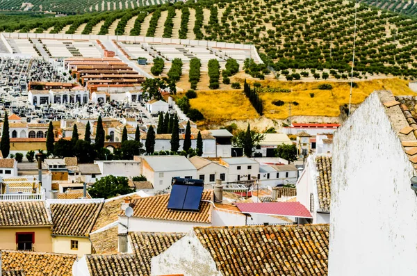 Baena, İspanya - Cordoba, eski Endülüs karakteristik mimarisi yanında eski bir İspanyol şehir panoraması 12 Eylül 2018 A