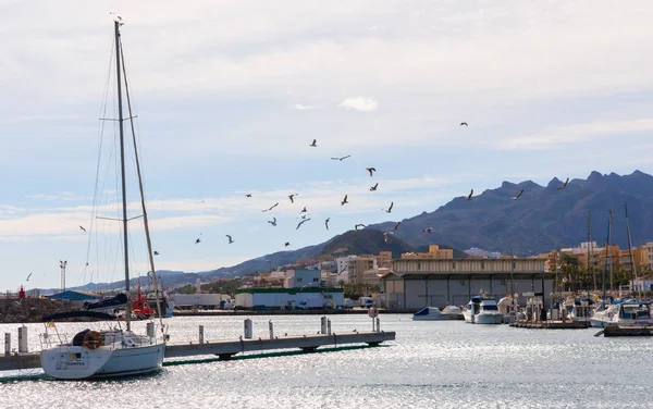 Garrucha España Enero 2019 Hermoso Puerto Deportivo Con Yates Lujo — Foto de Stock