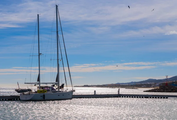 Garrucha Spanya Ocak 2019 Güzel Marina Lüks Yatların Motorlu Tekneler — Stok fotoğraf