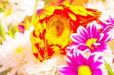 güzel çiçek ve yaprak, doku, arka plan ilginç suluboya bitkilerle boyalı