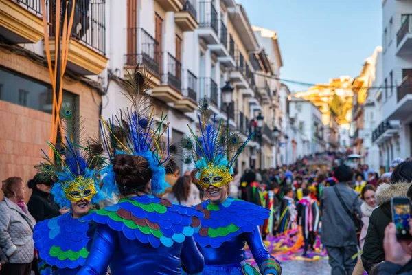 Велес Малага Іспанія Лютого 2018 Барвисті Карнавальні Парад Організований Мешканців — стокове фото