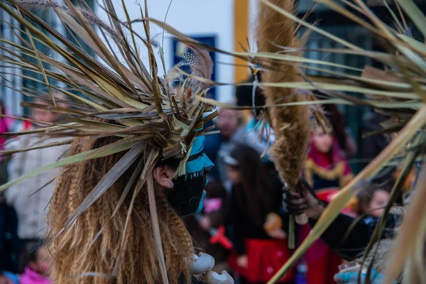 Velez Malaga, İspanya-3 Şubat 2018 A renkli karnaval geçit Andalusia küçük bir kasaba sakinleri tarafından düzenlenen
