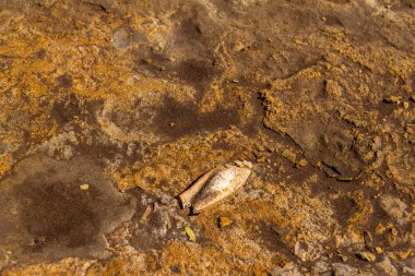 Tasarım ve dekorasyon, doku kayalar için doğal desen ile Mineral Malzeme yüzey çekim