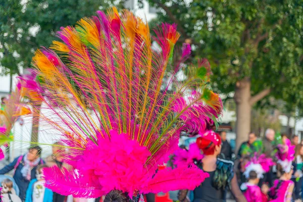 Cartagena Španělsko Březen 2019 Barevný Karnevalový Průvod Organizovaný Obyvateli Slavného — Stock fotografie
