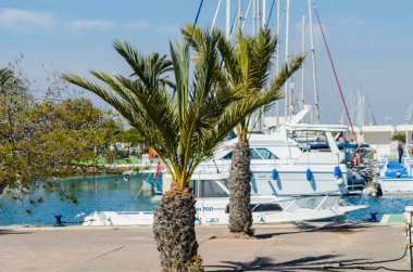 La Manga, İspanya - 4 Mart 2019 Marina Bay La M'de lüks tekneler