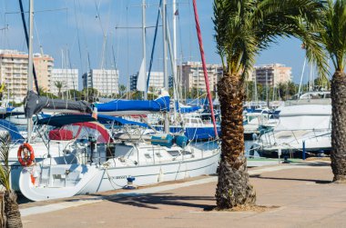 La Manga, İspanya - 4 Mart 2019 Marina Bay La M'de lüks tekneler
