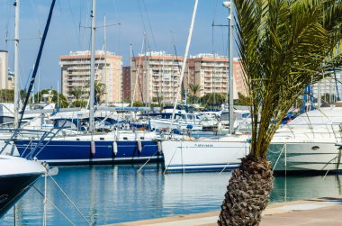 La Manga, İspanya - 4 Mart 2019 Marina Bay La M'de lüks tekneler
