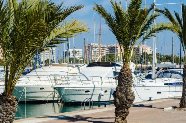 La Manga, İspanya - 4 Mart 2019 Marina Bay La M'de lüks tekneler