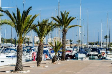 La Manga, İspanya - 4 Mart 2019 Marina Bay La M'de lüks tekneler