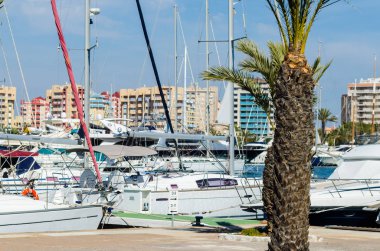La Manga, İspanya - 4 Mart 2019 Marina Bay La M'de lüks tekneler