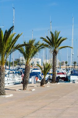 La Manga, İspanya - 4 Mart 2019 Marina Bay La M'de lüks tekneler
