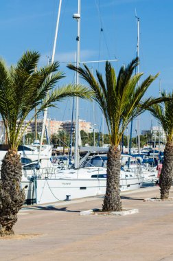 La Manga, İspanya - 4 Mart 2019 Marina Bay La M'de lüks tekneler