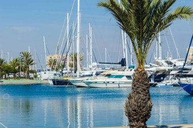 La Manga, İspanya - 4 Mart 2019 Marina Bay La M'de lüks tekneler