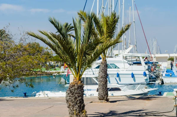 LA MANGA, SPAGNA - 4 MARZO 2019 Barche di lusso nella baia di marina La M — Foto Stock