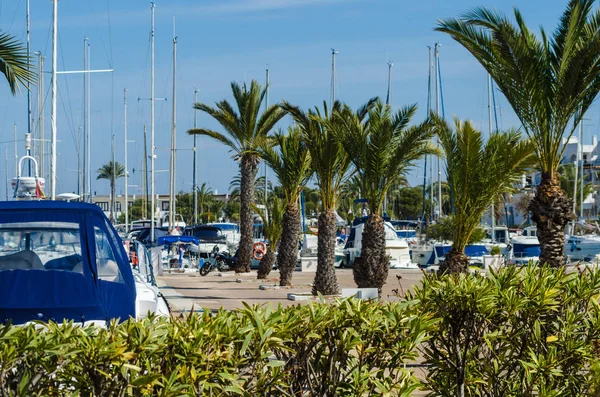 LA MANGA, SPAGNA - 4 MARZO 2019 Barche di lusso nella baia di marina La M — Foto Stock