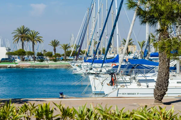 LA MANGA, ESPANHA - MARÇO 4, 2019 Barcos de luxo na baía de marina La M — Fotografia de Stock