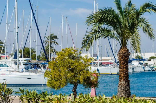 La Manga, İspanya - 4 Mart 2019 Marina Bay La M'de lüks tekneler