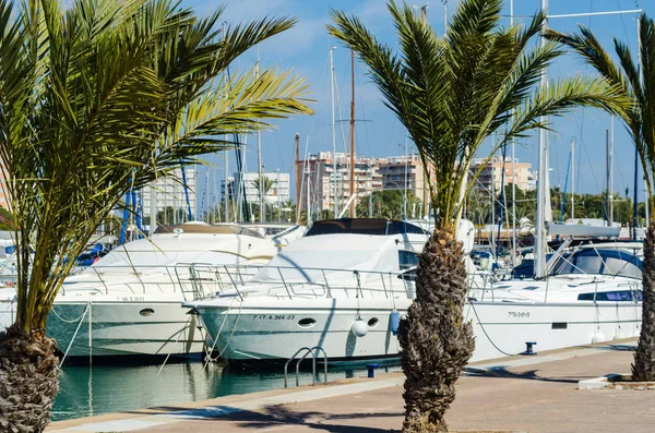 La Manga, İspanya - 4 Mart 2019 Marina Bay La M'de lüks tekneler